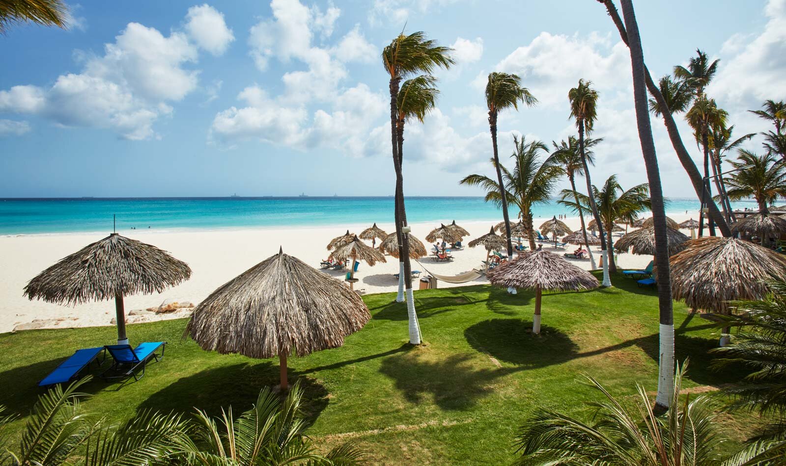 umbrellas and palm trees on beach