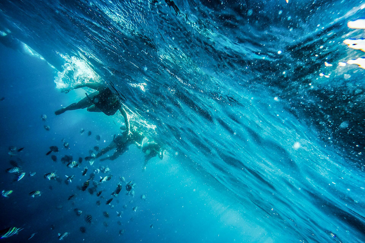 people under water with fish