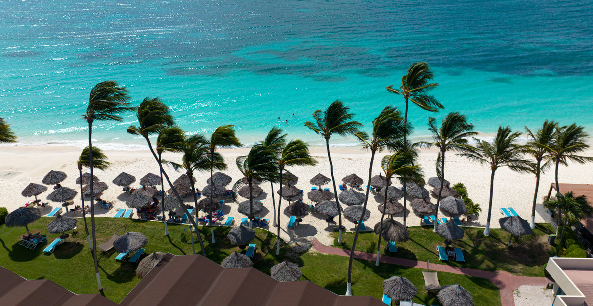 a beach with palm trees and umbrellas