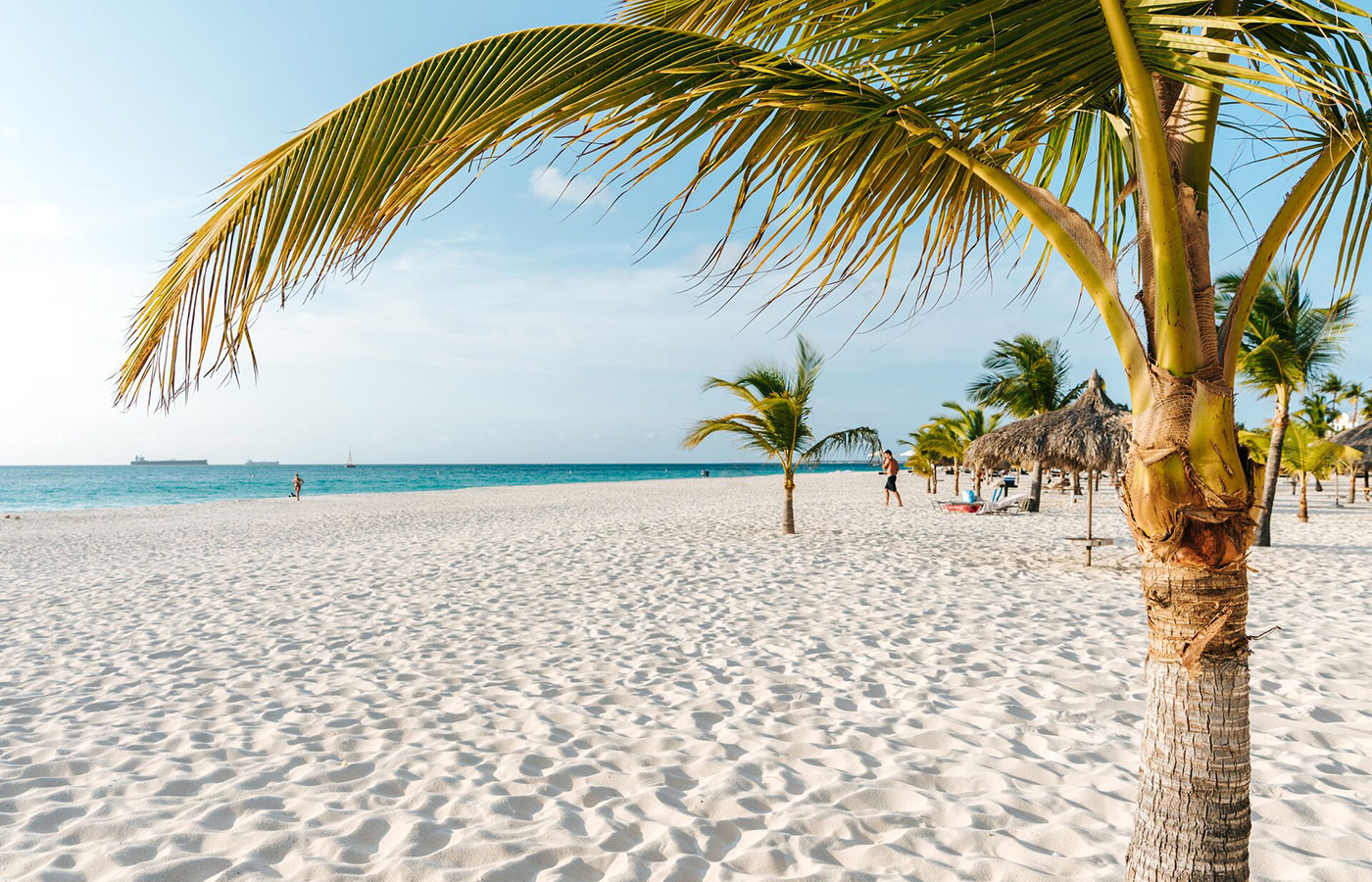 a beach with palm trees and umbrellas