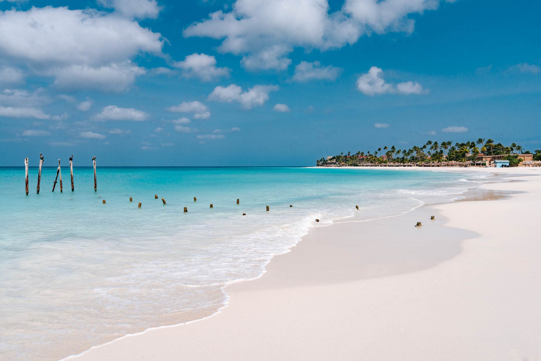 Divi & Tamarijn Aruba All Inclusive Beach At The Pelican Poles